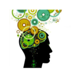 Stress & Therapy Centre