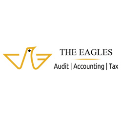 Eagles Tax and Financial Consultants