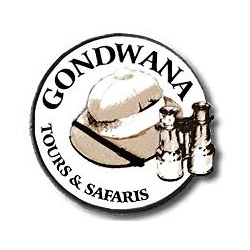 Gondwana Tours & Safaris