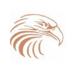 Ngwazi Air Charters